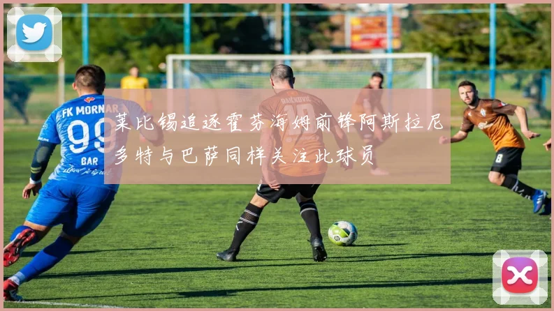 莱比锡追逐霍芬海姆前锋阿斯拉尼多特与巴萨同样关注此球员